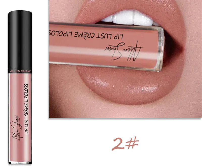 Silky Lip Gloss Lipstick