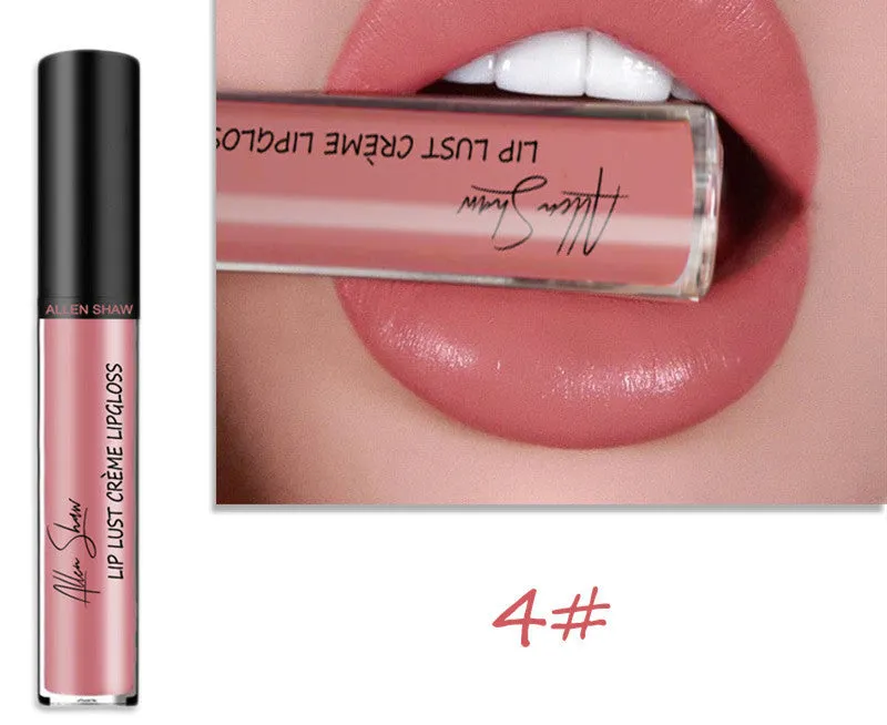 Silky Lip Gloss Lipstick