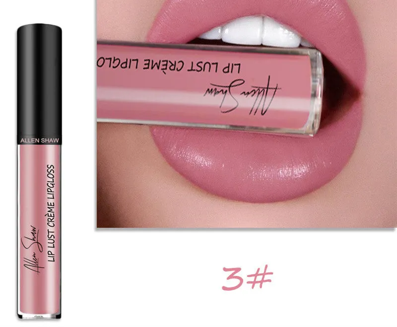 Silky Lip Gloss Lipstick