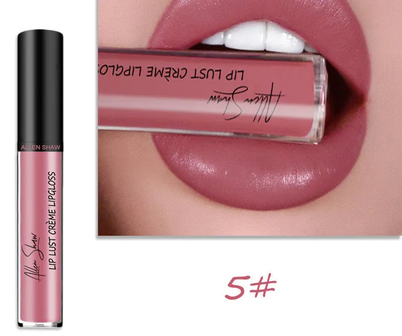Silky Lip Gloss Lipstick